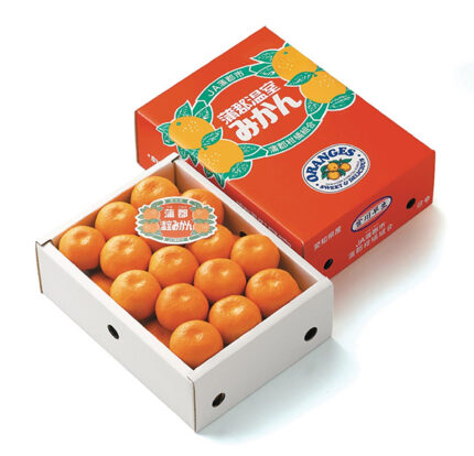 Gamagori Mikan | Aichi Prefecture