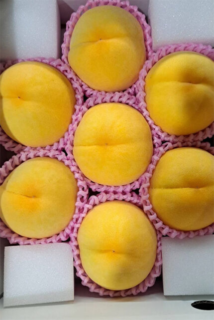 Golden Peach | Yamanashi Prefecture | 7 Pcs