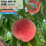 Hikawa Hakuhou Peach | Nagano Prefecture | 6 Pcs