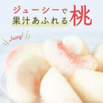Hikawa Hakuhou Peach | Nagano Prefecture | 6 Pcs