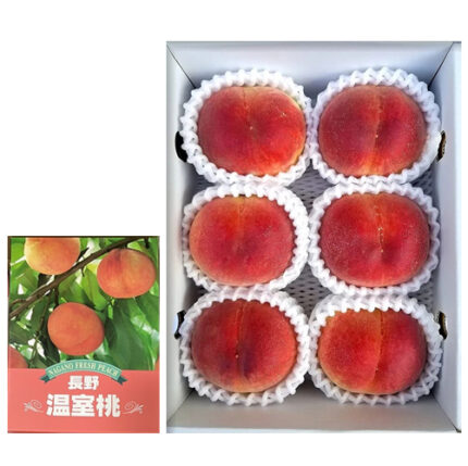 Hikawa Hakuhou Peach | Nagano Prefecture | 6 Pcs