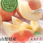 Ichiminomiya Premium Peach | Yamanashi Prefecture