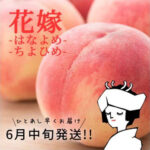 Ichimomo Takumi Hanayome Peach | Yamanashi Prefecture