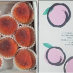 Ichimomo Takumi Hanayome Peach | Yamanashi Prefecture | 7 Pcs