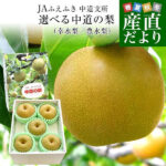 Kousui Pear | Yamanashi Prefecture