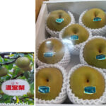 Kousui Pear | Yamanashi Prefecture