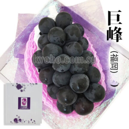 Kyoho Grapes - From Yame (Seedless) | Fukuoka Prefecture | Gift Box