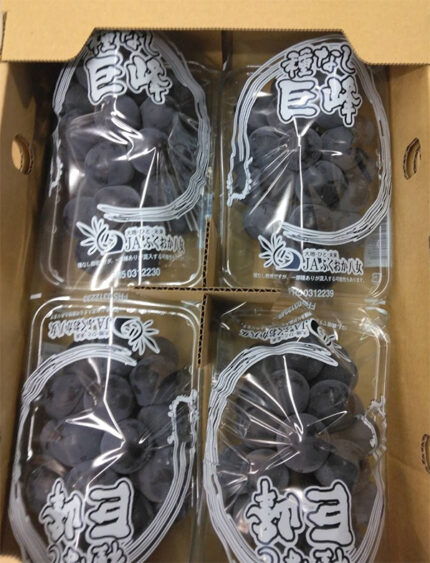Kyoho Grapes - From Yame (Seedless) | Fukuoka Prefecture | Pack