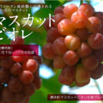 Muscut Biore | Okayama Prefecture