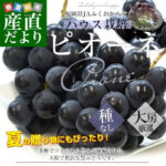 Pione - From Yame (Seedless) | Fukuoka Prefecture