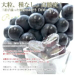Pione - From Yame (Seedless) | Fukuoka Prefecture