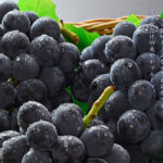 Pione Grapes (Seedless) | Okayama Prefecture