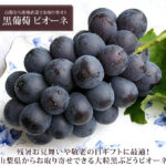 Pione Grapes | Yamanashi Prefecture