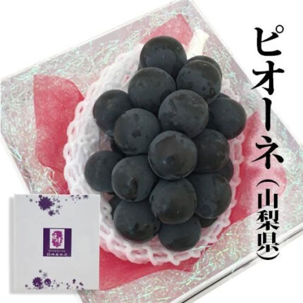 Pione Grapes | Yamanashi Prefecture | Gift Box