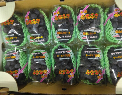 Pione Grapes (Seedless) | Yamanashi Prefecture | Pack