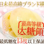President Misaka Daitouryo Peach | Yamanashi Prefecture