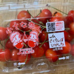 Satonishiki Cherry - "Little Lover" | Yamagata Prefecture