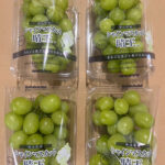 Shine Muscat Grapes (Hareo-Variety) | Okayama Prefecture | 350g Pack