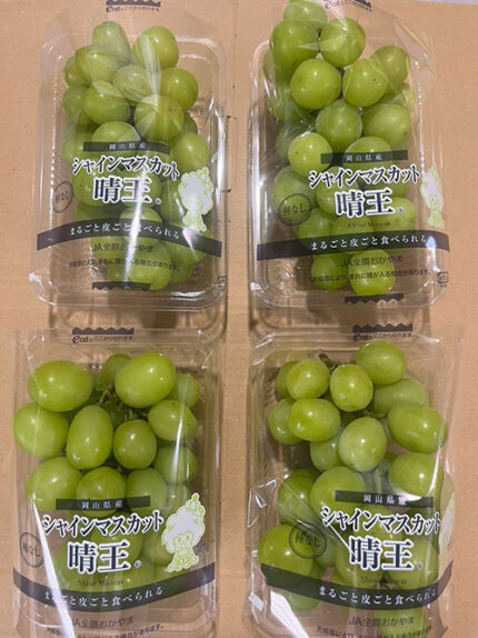 Shine Muscat Grapes (Hareo-Variety) | Okayama Prefecture | 350g Pack