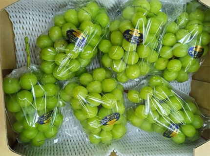 Shine Muscat Grapes (Hareo-Variety) | Aoshu Grade | Okayama Prefecture | 800g