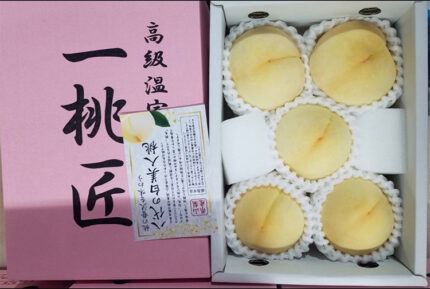 Shiro Bijin Momo | Yamanashi Prefecture | 5 Pcs