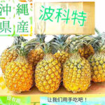 Snack Pineapple | Okinawa Prefecture