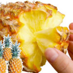 Snack Pineapple | Okinawa Prefecture