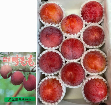 Summer Angel Plum (Premium Grade) | Yamanashi Prefecture | 11 Pcs