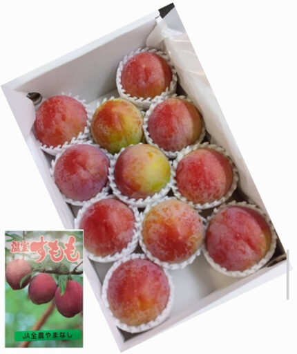 Summer Angel Plum | Yamanashi Prefecture | 11 Pcs