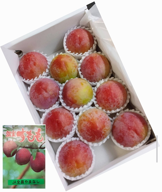 Summer Angel Plum | Yamanashi Prefecture | 11 Pcs