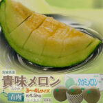 Takami Melon | Ibaragi Prefecture