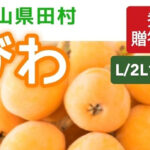 Tamura Biwa | Wakayama Prefecture