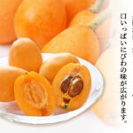 Tatsutayori Biwa | Kagawa Prefecture