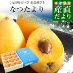 Tatsutayori Biwa | Nagasaki Prefecture