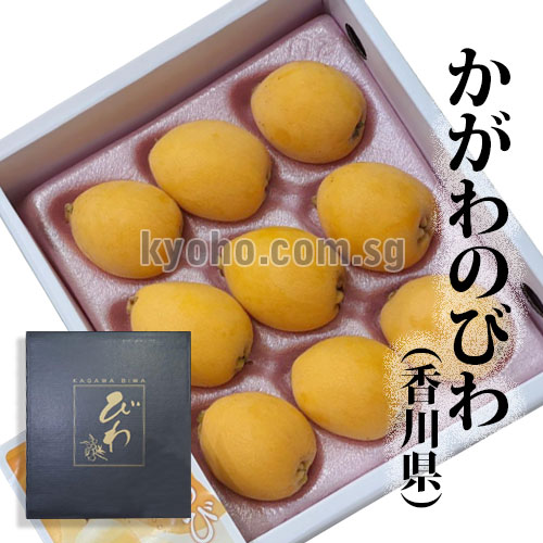 Tatsutayori Biwa | Kagawa Prefecture