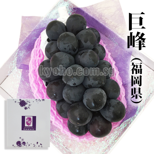 Kyoho Grapes - From Yame (Seedless) | Fukuoka Prefecture | Gift Box