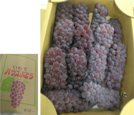 Delaware Grapes | Wakayama Prefecture