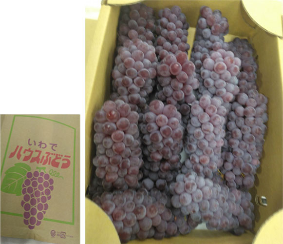 Delaware Grapes | Wakayama Prefecture