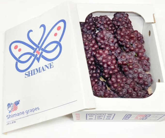 Delaware Grapes | Shimane Prefecture | 2L Size