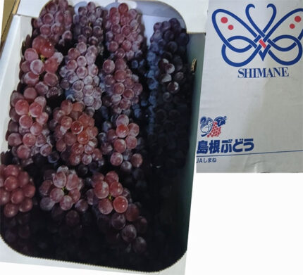Delaware Grapes | Shimane Prefecture | 3L Size