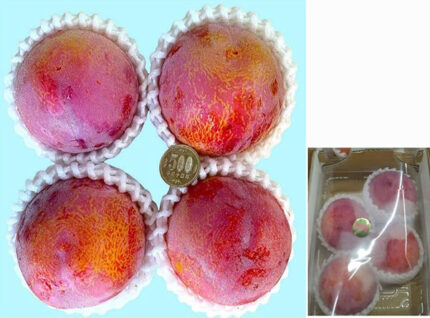 Kiyo Plum (Top Premium) | Yamanashi Prefecture | 4 Pcs