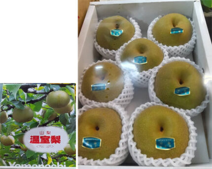 Kousui Pear | Yamanashi Prefecture