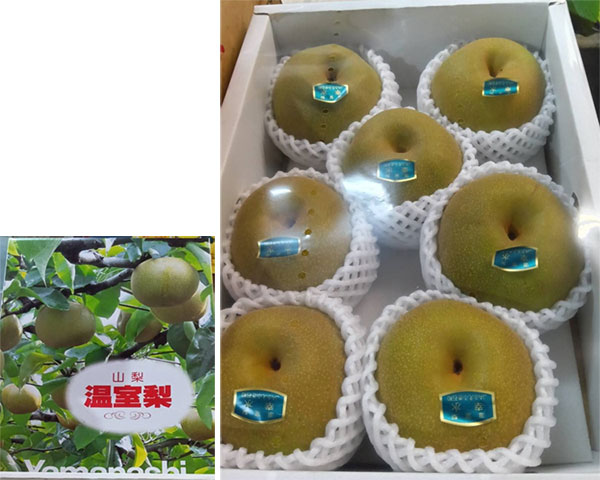Kousui Pear | Yamanashi Prefecture