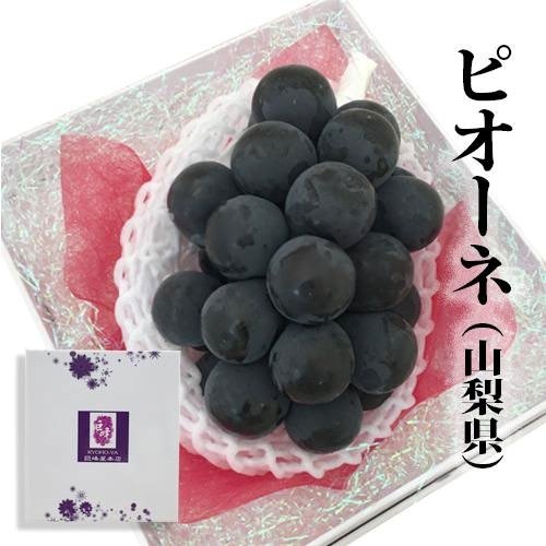 Pione Grapes | Yamanashi Prefecture | Gift Box