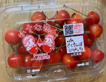 Satonishiki Cherry - "Little Lover" | Yamagata Prefecture