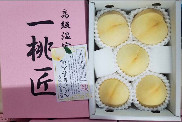 Shiro Bijin Momo | Yamanashi Prefecture | 5 Pcs