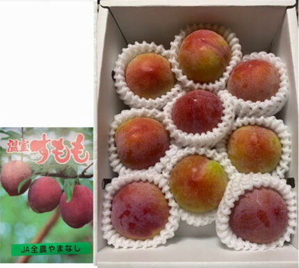 Summer Angel Plum (Premium Grade) | Yamanashi Prefecture | 9 Pcs