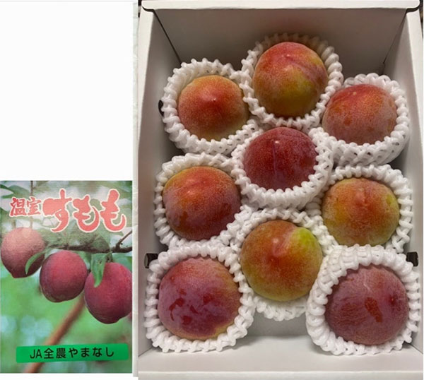 Summer Angel Plum (Premium Grade) | Yamanashi Prefecture | 9 Pcs