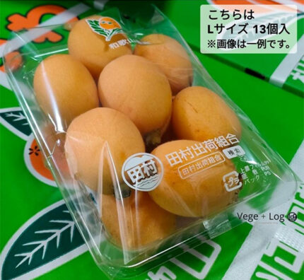 Tamura Biwa | Wakayama Prefecture