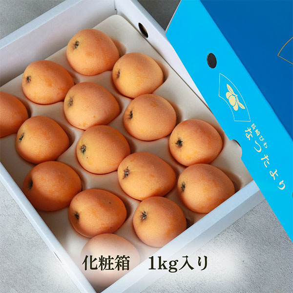 Tatsutayori Biwa | Nagasaki Prefecture